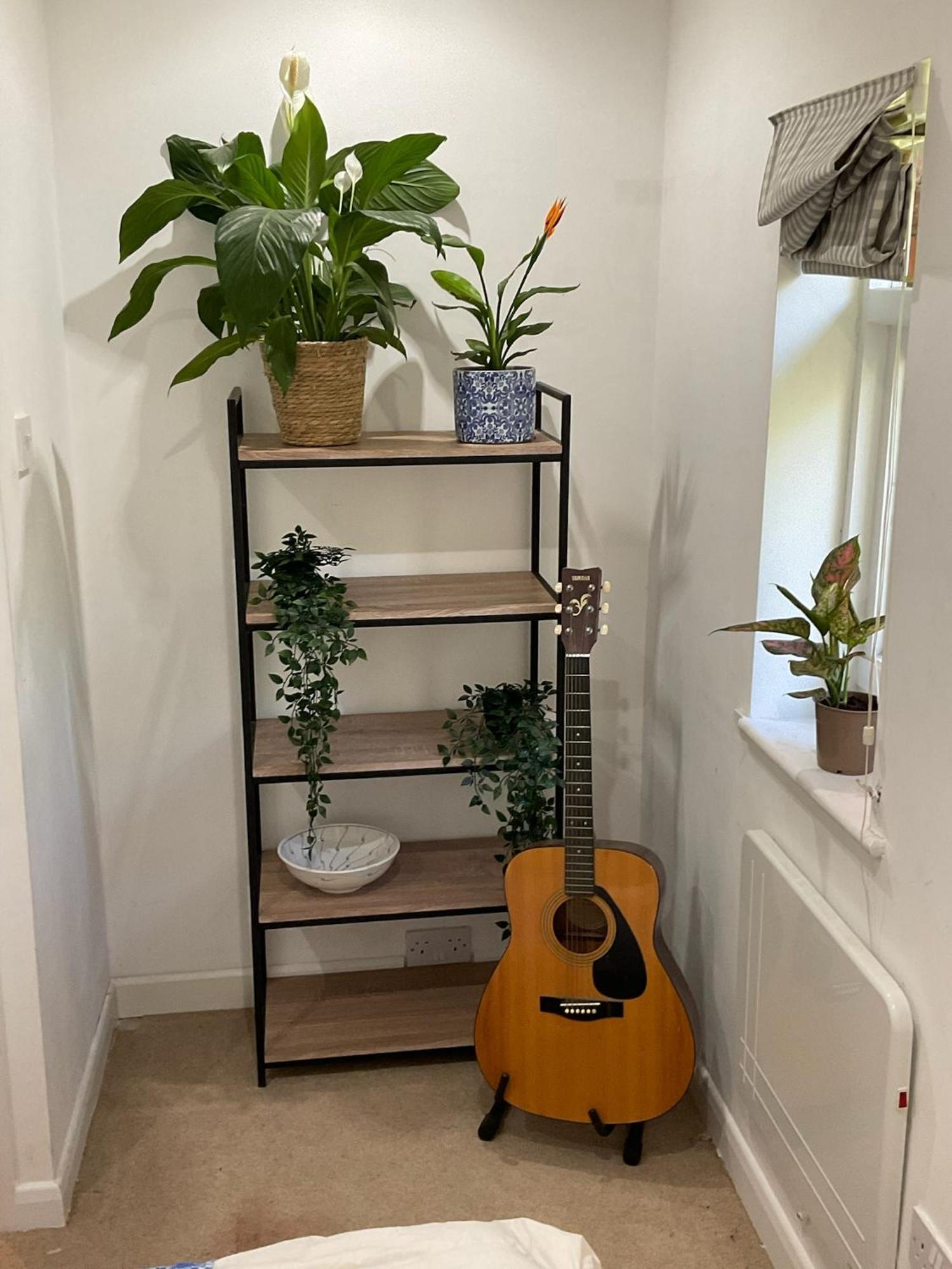 Lewes Garden Room - Free Parking Esterno foto